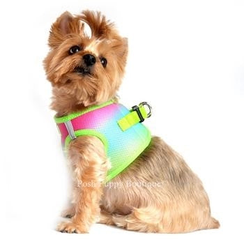 American River Ultra Choke Free Dog Harness- Ombre Collection -Rainbow