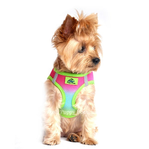 American River Ultra Choke Free Dog Harness- Ombre Collection -Rainbow - Posh Puppy Boutique