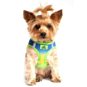 American River Ultra Choke Free Dog Harness- Ombre Collection - Colbalt Sport - Posh Puppy Boutique