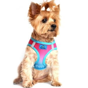 American River Ultra Choke Free Dog Harness- Ombre Collection -Sugar Plum - Posh Puppy Boutique