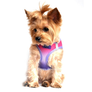 American River Ultra Choke Free Dog Harness- Ombre Collection - Raspberry Sundae - Posh Puppy Boutique