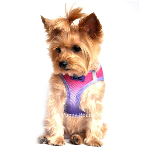 American River Ultra Choke Free Dog Harness- Ombre Collection - Raspberry Sundae
