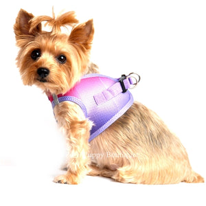 American River Ultra Choke Free Dog Harness- Ombre Collection - Raspberry Sundae - Posh Puppy Boutique