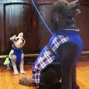 Alpine All Weather Dog Coat - Royal Blue Plaid - Posh Puppy Boutique