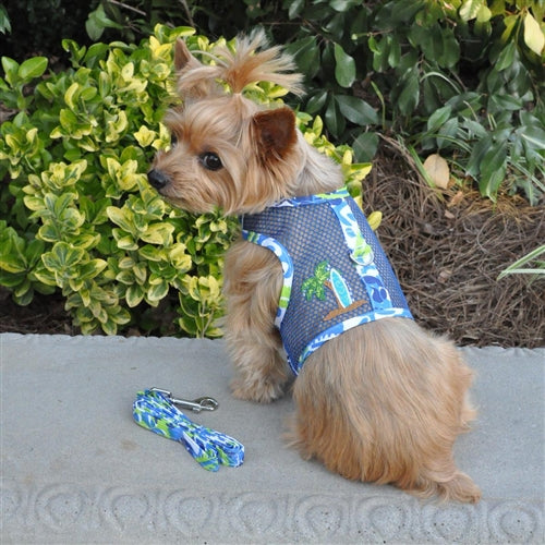 Surfboard Blue and Green Cool Mesh Dog Harness with Matching Leash