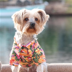 Hawaiian Camp Shirt - Sunset Hibiscus - Posh Puppy Boutique