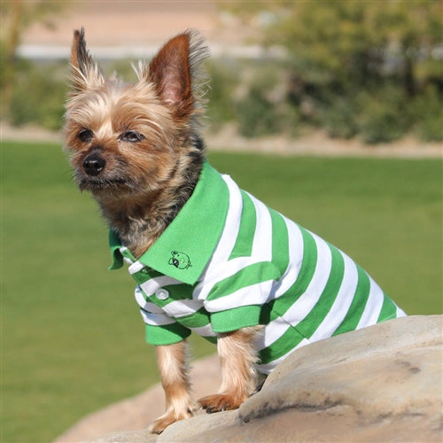 Striped Dog Polos - Greenery and White