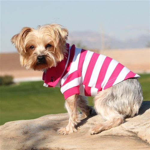 Striped Dog Polos - Pink Yarrow and White