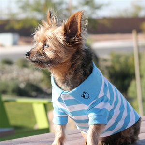 Striped Dog Polos - Blue Niagara and White - Posh Puppy Boutique