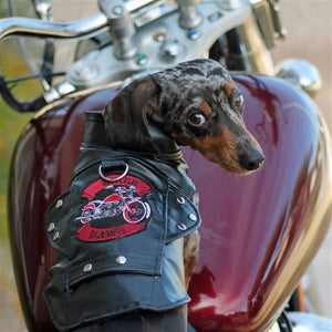 Biker Dawg Motorcycle Dog Jacket - Black - Posh Puppy Boutique