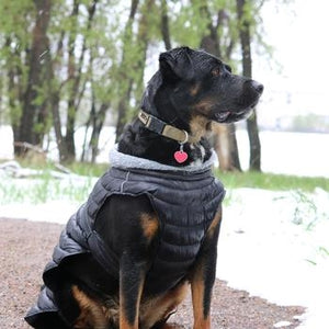 Alpine Extreme Weather Puffer Coat - Black - Posh Puppy Boutique