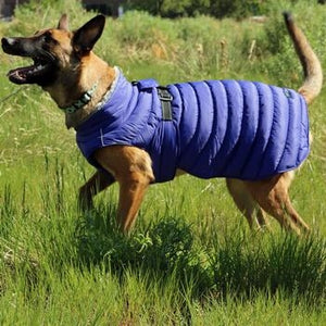 Alpine Extreme Weather Puffer Coat - Navy Blue - Posh Puppy Boutique