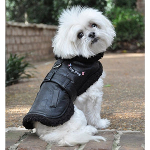 Black Top Dog Flight Coat with Leash - Posh Puppy Boutique