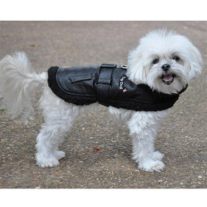 Black Top Dog Flight Coat with Leash - Posh Puppy Boutique