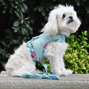 Cool Mesh Dog Harness with Leash - Surfboards and Palms - Posh Puppy Boutique