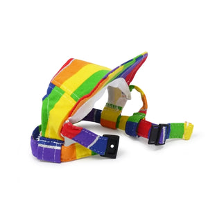 Rainbow Hat - Posh Puppy Boutique