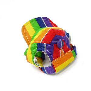 Rainbow Hat - Posh Puppy Boutique