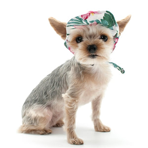 Tropical Island Hat - Posh Puppy Boutique