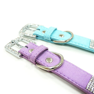 VIP Bling Collar in Blue - Posh Puppy Boutique
