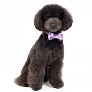 Sequins 1 Collar Slider Bow Tie- Purple - Posh Puppy Boutique