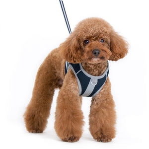 SnapGO Basic Harness - Navy Blue - Posh Puppy Boutique