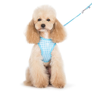 EasyGO Dots - Blue - Posh Puppy Boutique