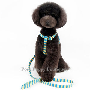 EasyCLICK Harness Stripes- Blue - Posh Puppy Boutique