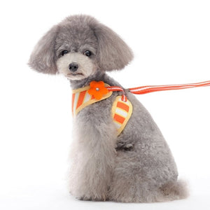 EasyGO Sweet Flower Harness - Posh Puppy Boutique