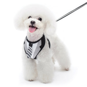 EasyGo Necktie Step In Harness - Posh Puppy Boutique