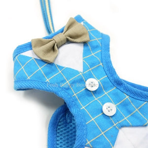EasyGo Bowtie Blue Step In Harness & Leash Set - Posh Puppy Boutique