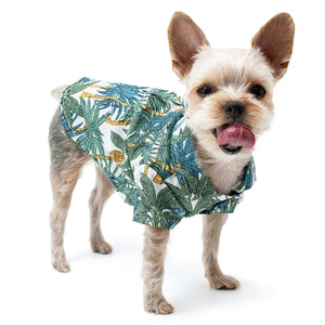 Tropical Leaf Shirt - Posh Puppy Boutique