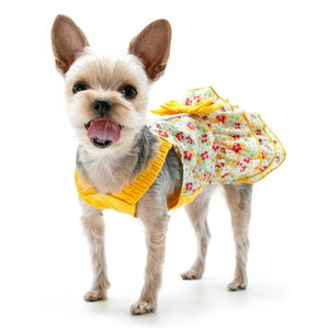 Southern Belle Dress - Posh Puppy Boutique