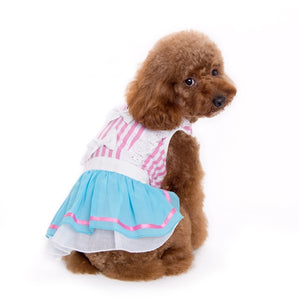 Little Alice Dress - Posh Puppy Boutique