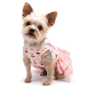 Cherish Cherry Dress - Posh Puppy Boutique