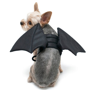 Bat Wings in Black - Posh Puppy Boutique