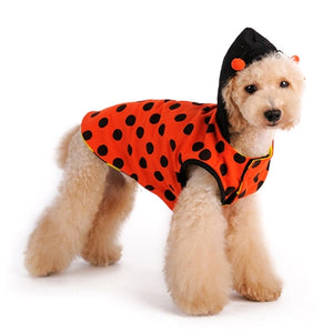 Ladybug Bumblebee Reversible Dog Costume - Posh Puppy Boutique