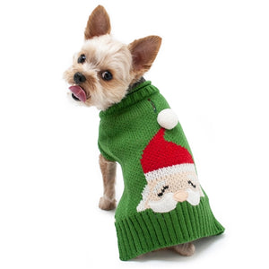 Santa Face Sweater - Green - Posh Puppy Boutique
