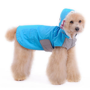 Shark Raincoat - Posh Puppy Boutique