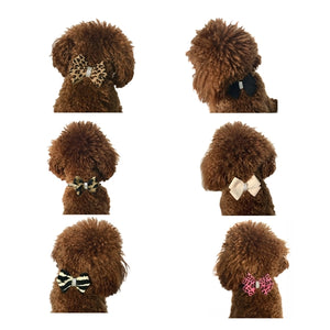 Westminster First Bow Collar Slider in Many Styles - Posh Puppy Boutique