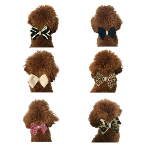 Westminster Grand Champion Collar Slider in Many Styles - Posh Puppy Boutique
