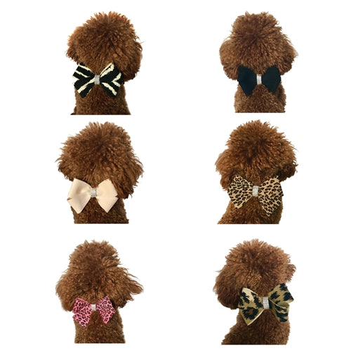 Westminster Grand Champion Collar Slider in Many Styles