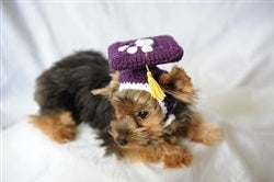 Dark Purple Knit Graduation Cap for Dogs - Posh Puppy Boutique