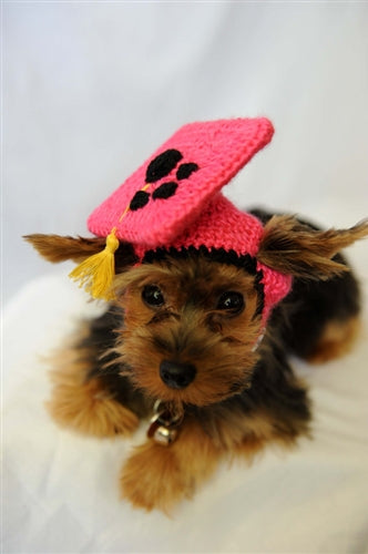 Hot Pink Knit Graduation Cap for Dogs