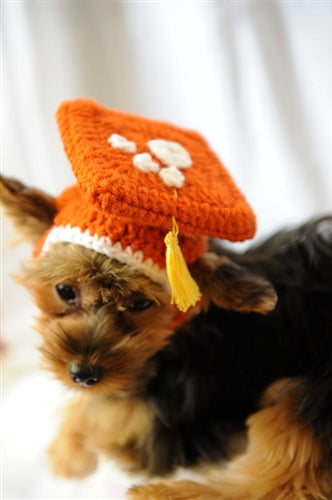 Burnt Orange Knit Graduation Cap for Dogs
