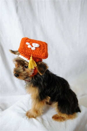 Burnt Orange Knit Graduation Cap for Dogs - Posh Puppy Boutique