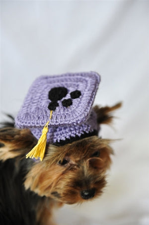 Light Purple Knit Graduation Cap for Dogs - Posh Puppy Boutique