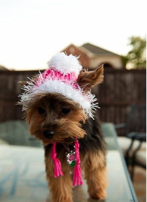 Knit Hat for Dogs- Hot Pink - Posh Puppy Boutique