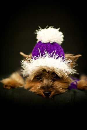 Knit Hat for Dogs- Purple/White - Posh Puppy Boutique