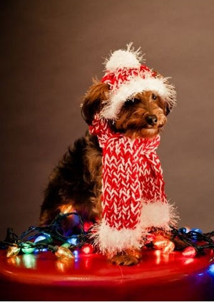 Knit Hat and Scarf for Dogs- Red/White - Posh Puppy Boutique