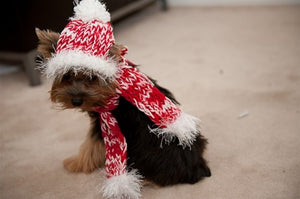 Knit Hat and Scarf for Dogs- Red/White - Posh Puppy Boutique